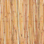 Recinzione in Bambù 500x30 cm