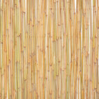 Recinzione in Bambù 300x100 cm