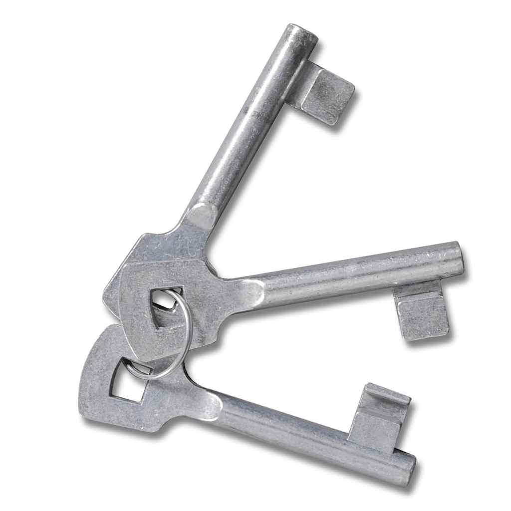 Cancello da Giardino in Rete di Acciaio Zincato 300x175 cm Grigio Antracite