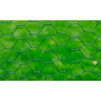 Recinzione in Rete Metallica per Pollaio Rivestita in PVC 25x0,75 m Verde