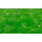 Recinzione in Rete Metallica Rivestita PVC per Pollaio 25x0,75 m Verde
