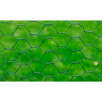 Recinzione in Rete Metallica Rivestita in PVC per Pollaio 25x1 m Verde