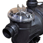 Pompa di filtrazione elettrica per piscina 1200W