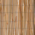 Recinzione in Bambù 500x100 cm
