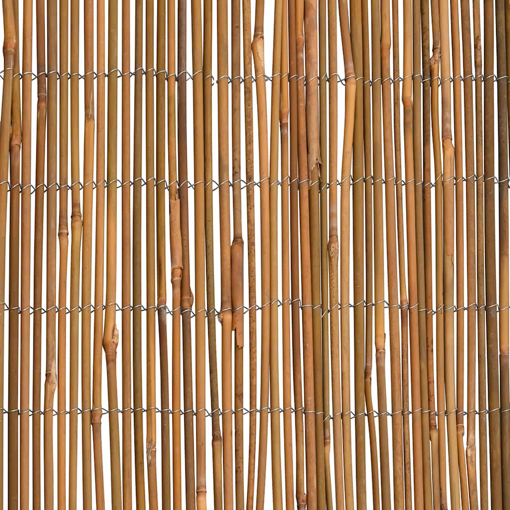Recinzione in Bambù 500x100 cm