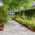 Bordure per Prato 10 pz 10x103 cm Flessibili in Acciaio Corten