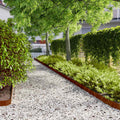 Bordure per Prato 50 pz 10x103 cm Flessibili in Acciaio Corten