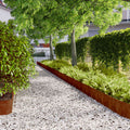 Bordure per Prato 10 pz 20x103 cm Flessibili in Acciaio Corten