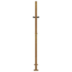 Cancello da giardino 100x150 cm in acciaio Corten con design ad albero