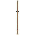 Cancello da giardino 100x200 cm in acciaio Corten