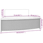 Panche per Spa con Cuscini 2 pz in Polyrattan Nero