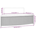 Panche per Spa con Cuscini 2 pz in Polyrattan Grigio
