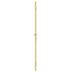 Porta Interni Sottile Oro 76x201,5cm Vetro Temperato Alluminio
