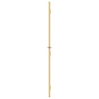 Porta Interni Vetro Temperato Alluminio Oro 93x201,5cm