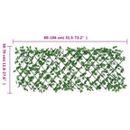 Traliccio Edera Artificiale Espandibile Verde 5 Pezzi 186x30 cm