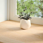 Davanzali 2 pz Legno Massello di Rovere Non Trattati 100x40x2cm