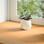 Davanzale Rovere Massello 110x25x2cm Marrone Chiaro - Confezione 2 Pezzi