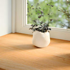 Davanzale in Legno Massello Rovere 160x30x2 cm Marrone Chiaro - 2 Pezzi