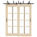 Kit di Binari per Porte Scorrevoli 200 cm Acciaio Nero