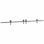 Kit di Binari per Porte Scorrevoli 400 cm Acciaio Nero
