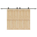 Kit di Binari per Porte Scorrevoli 366 cm Acciaio Nero