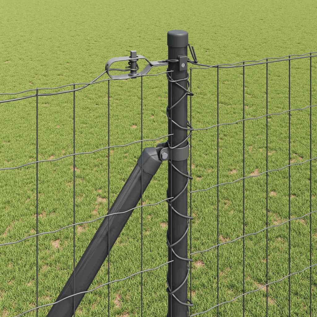 Recinzione in rete saldata zincata 10 x 1,6 m con punte