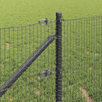 Recinzione in rete saldata 50 x 0,5 m acciaio rivestito PVC
