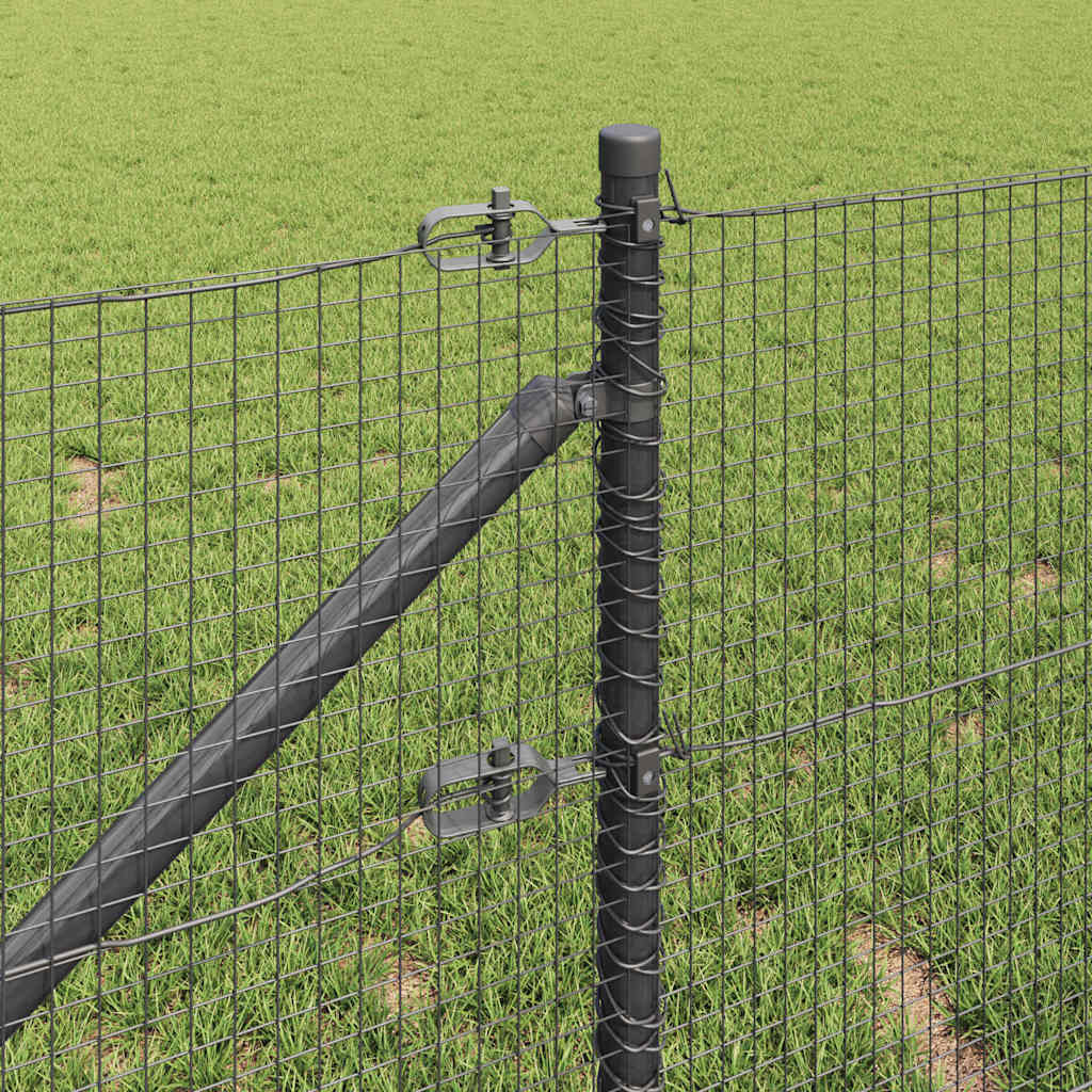 Recinzione in rete saldata 50 x 0,8 m con punte