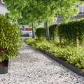 Bordure per Prato 10 pz Nere 15x103cm Acciaio Laminato a Freddo