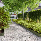 Bordure per Prato 10 pz Verde Oliva Acciaio Laminato a Freddo