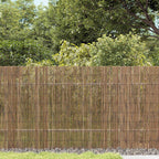Recinzione per Giardino in Giunco Naturale 500 x 140 cm
