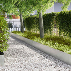 Bordura per Prato 20 pcs Argento 100 x 0,05 x 30 cm