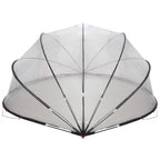 Dome Piscina Trasparente 546 x 516 x 250 cm PVC
