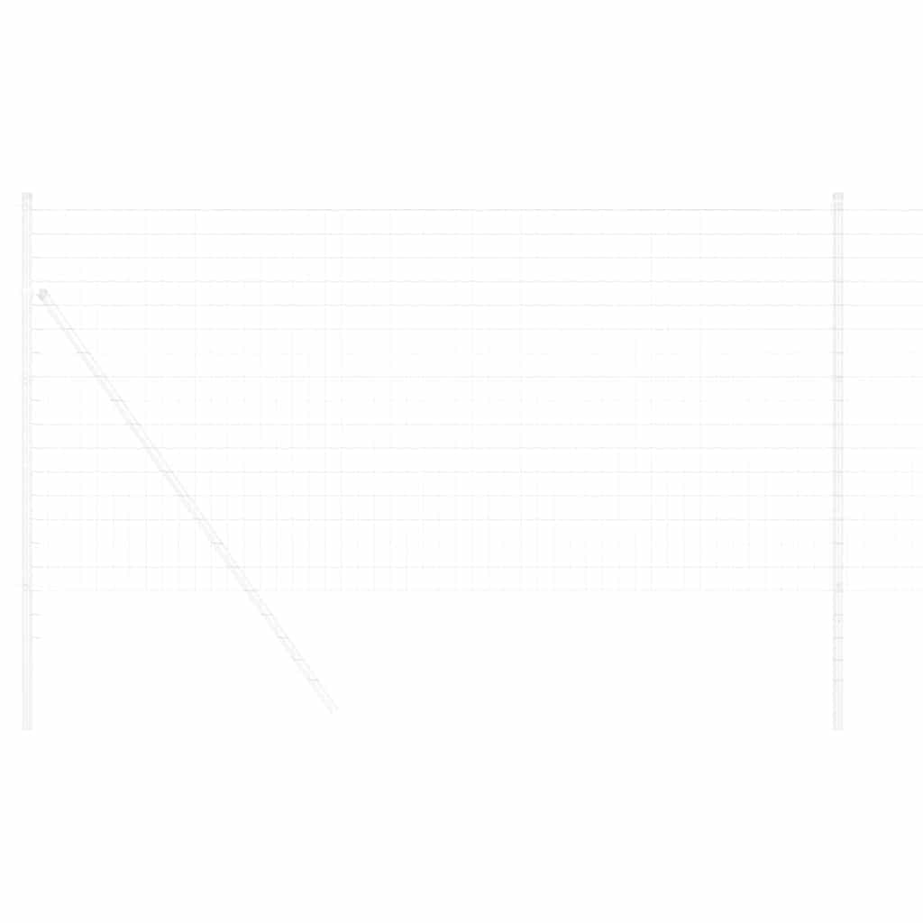 Recinzione Euro 1 x 10 m Ferro rivestito in PVC