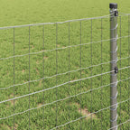 Recinzione Euro 1,6 x 10 m Ferro rivestito in PVC