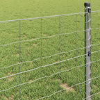 Recinzione Euro 0,8 x 10 m Ferro rivestito in PVC
