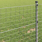 Recinzione Euro 0,4 x 50 m Ferro rivestito in PVC