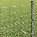 Recinzione Euro 0,4 x 50 m Ferro rivestito in PVC