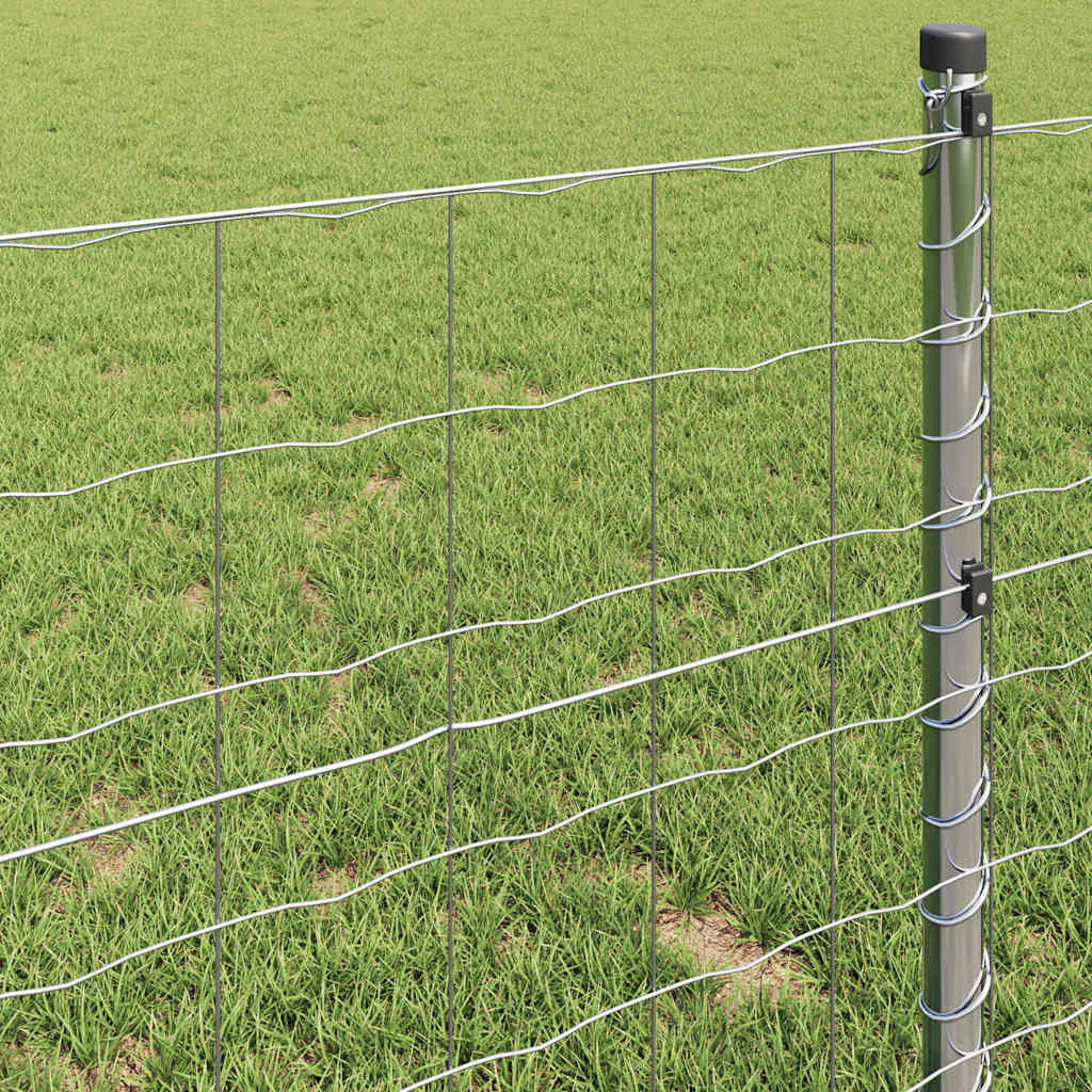 Recinzione Euro 0,6 x 50 m Ferro rivestito in PVC
