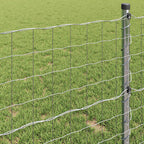 Recinzione Euro 1 x 10 m Ferro rivestito in PVC
