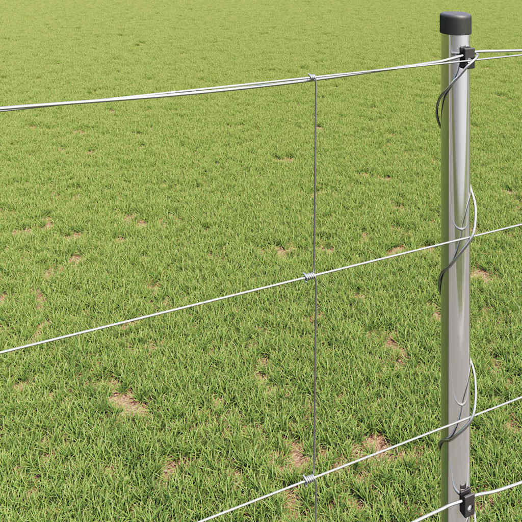Recinzione da campo in acciaio zincato Argento 100 x 1 m