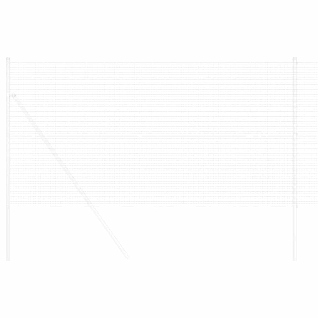 Recinzione in Rete Saldato Argento 1000x40 cm