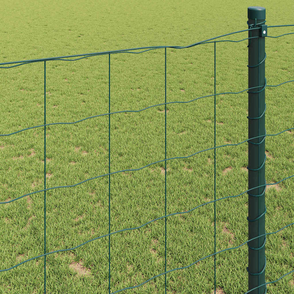 Recinzione Euro Verde 1.6 x 10m Ferro rivestito in PVC