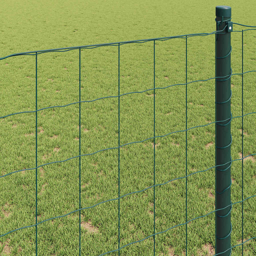 Recinzione Euro Verde 0,8 x 25 m Ferro rivestito in PVC