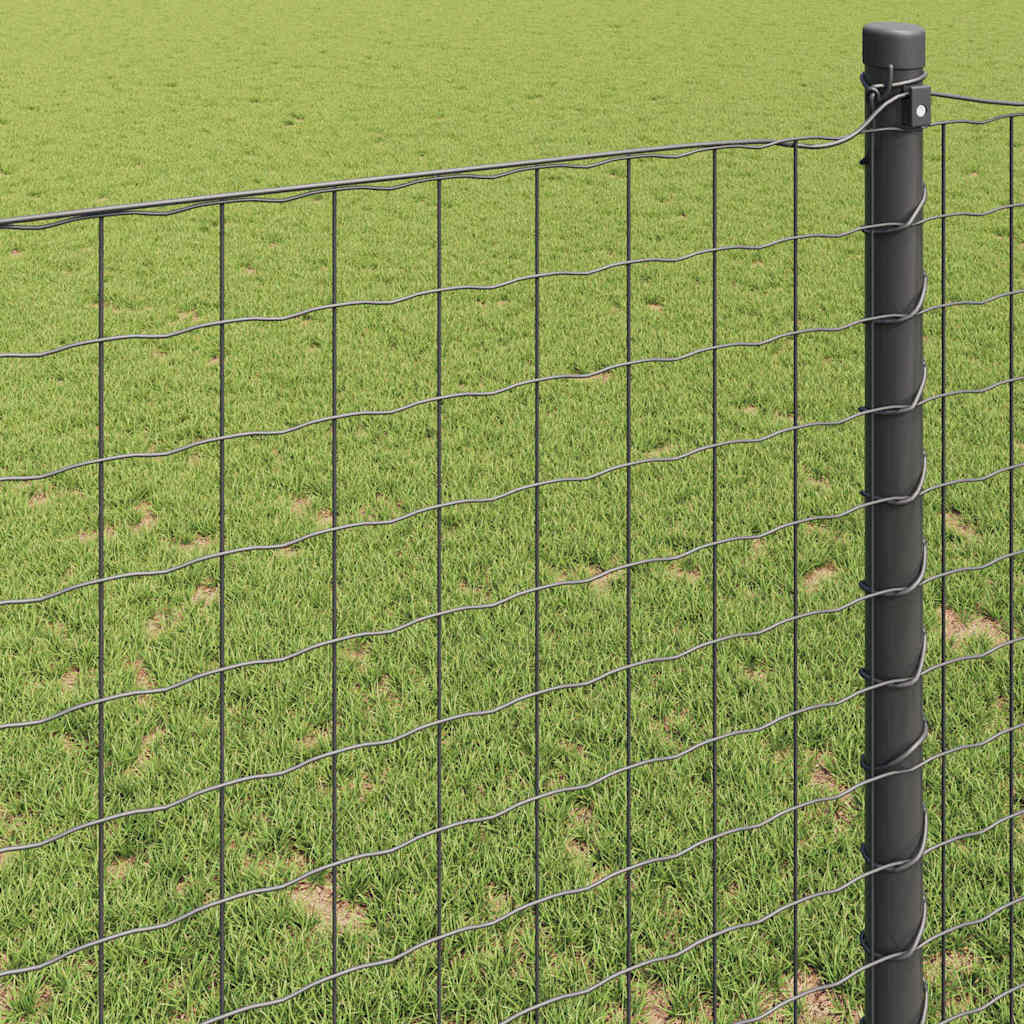 Recinzione Euro Grigio 1,6 x 10 m Ferro rivestito in PVC