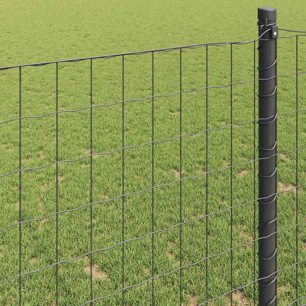 Recinzione Euro Grigio 1,6 x 10 m Ferro rivestito in PVC