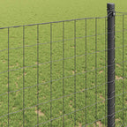 Recinzione Euro Grigio 1,6 x 10 m Ferro rivestito in PVC