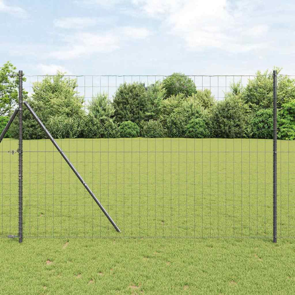 Recinzione Euro Grigio 1,6 x 10 m Ferro Rivestito in PVC