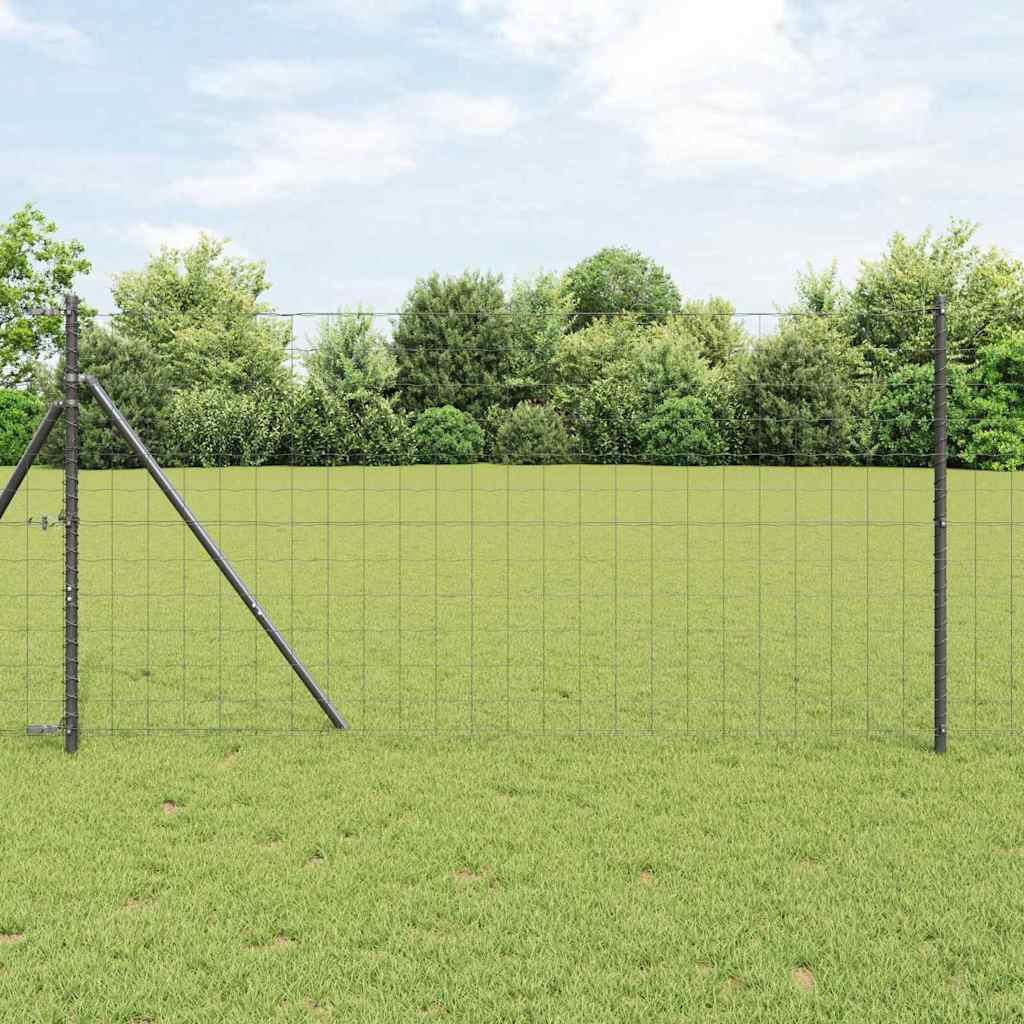 Recinzione Euro Grigio 1,4 x 10 m Ferro rivestito in PVC