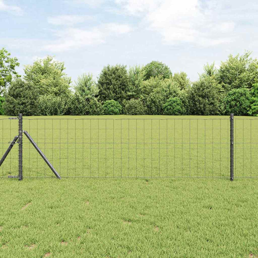 Recinzione Euro Grigio 0,8 x 25 m - Ferro rivestito in PVC